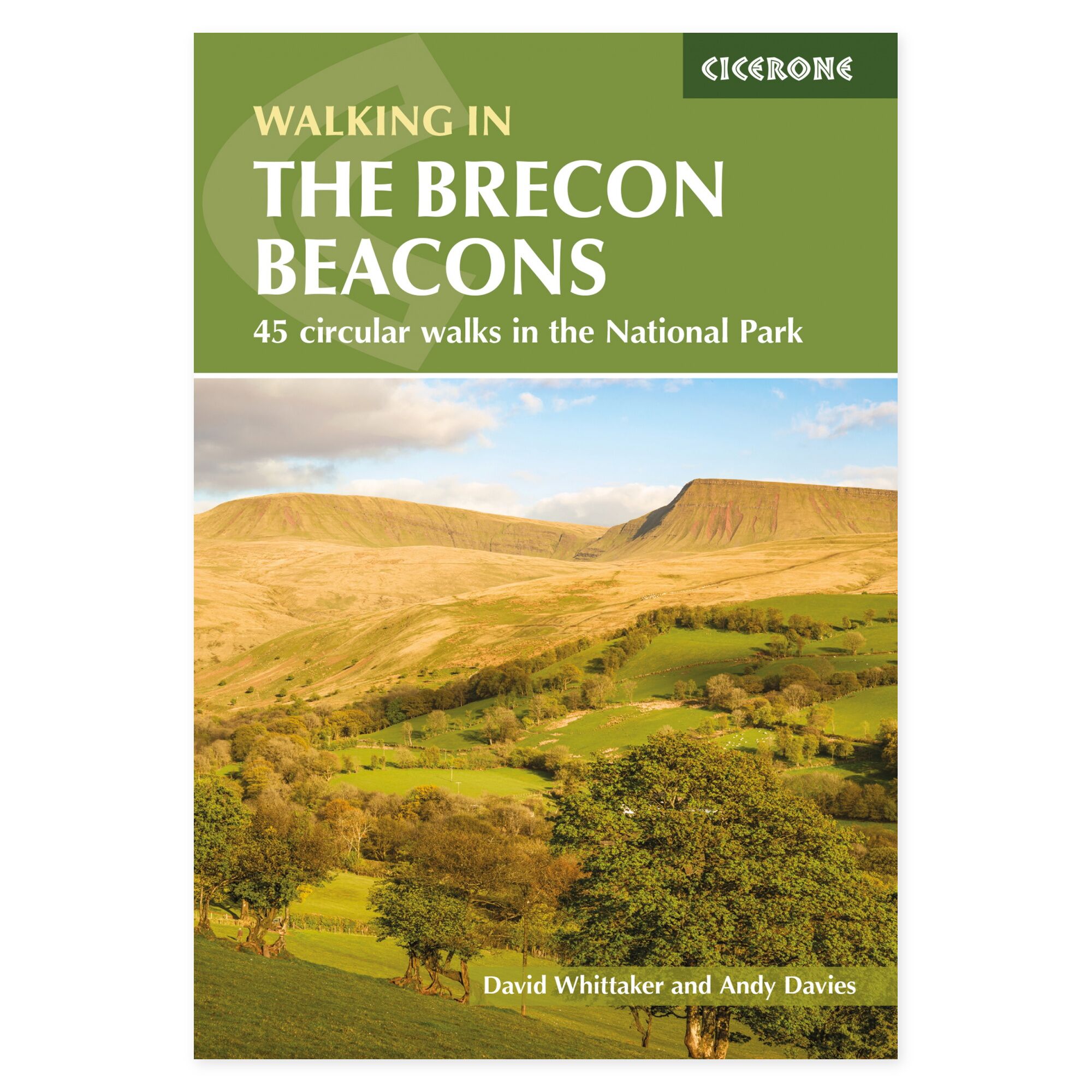 Forside av Walking in the Brecon Beacons