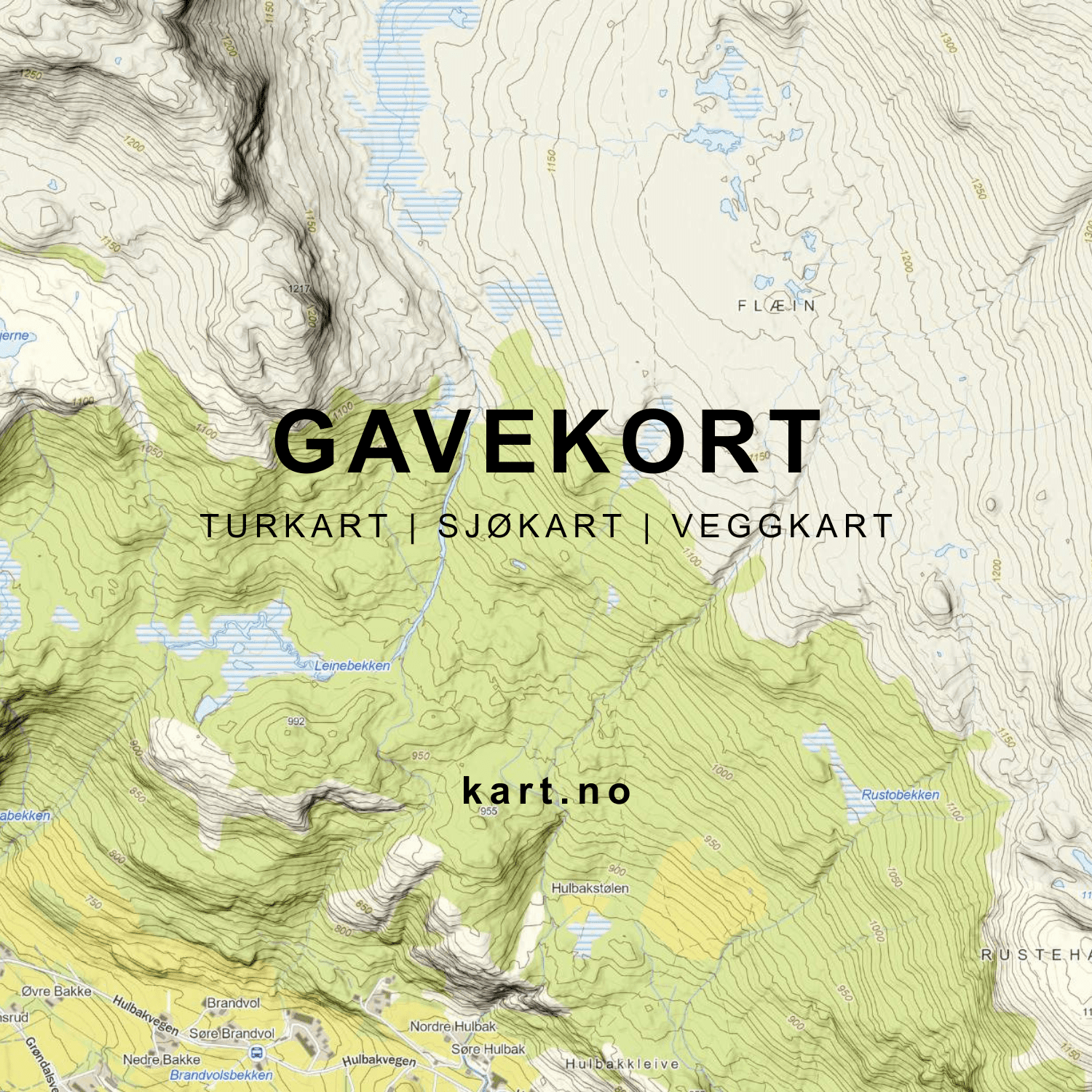 Gavekort på turkart, sjøkart og veggkart.