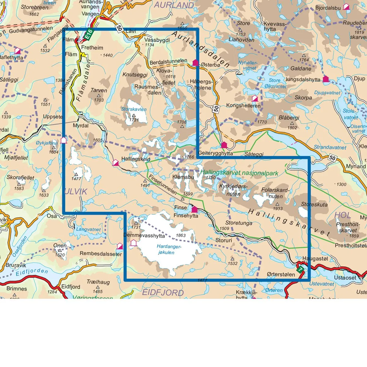 Rallarvegen Sykkelkart - Bilde 3