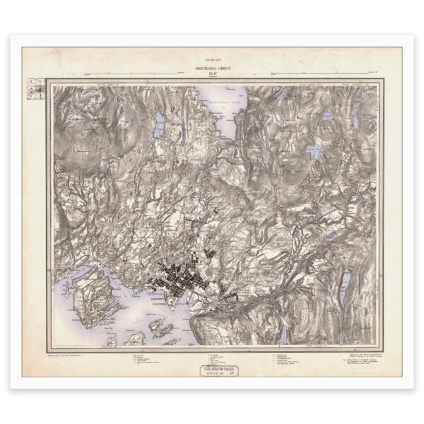 Kristiania og omegn 1881 - Image 4