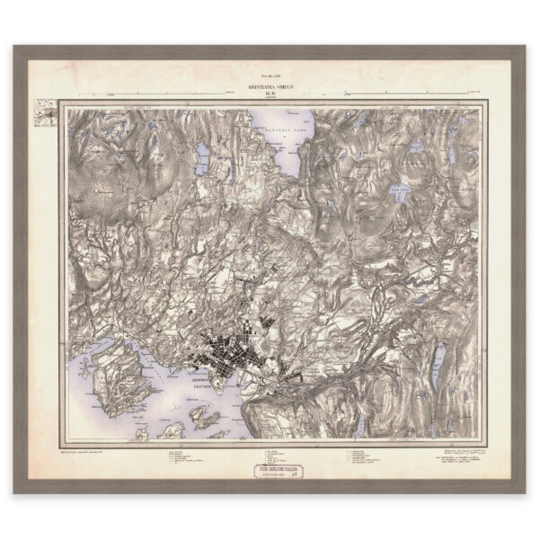 Kristiania og omegn 1881 - Image 8