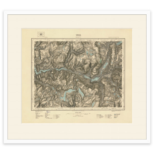 Voss 1921 - Image 7