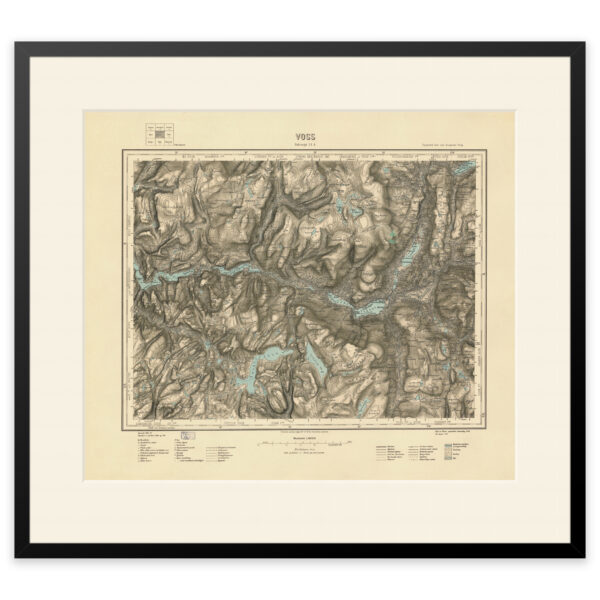 Voss 1921 - Image 6