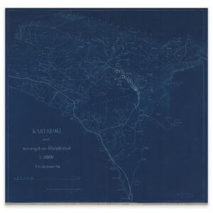 Dalane 1917