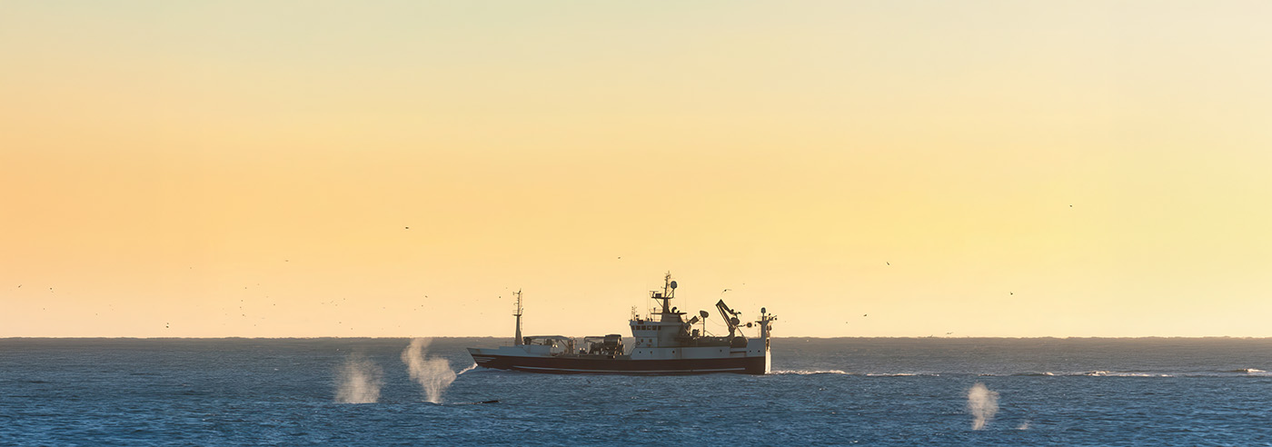 Solnedgang over fjellrygg ved Styggedalstraversen i Jotunheimen