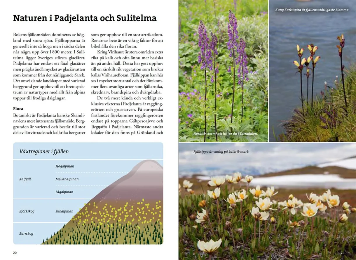Oppslag fra Fjällvandra i Padjelanta och Sulitelma med kart, rutebeskrivelser og fotografier