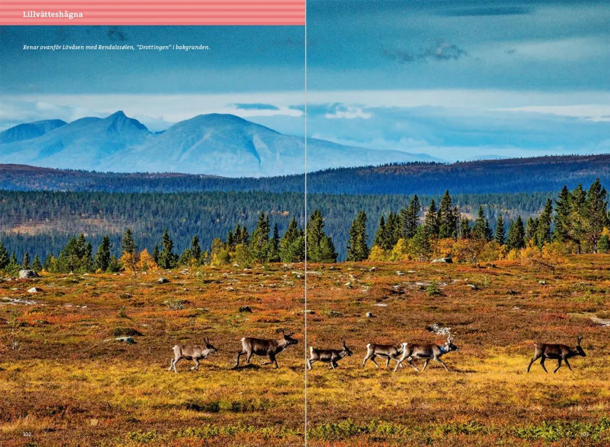 Oppslag fra Fjällvandra kring Grövelsjön med kart, turbeskrivelser og fotografier