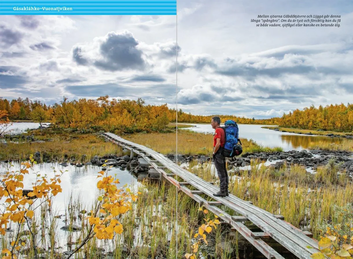 Excerpts from the guidebook *Hiking in the Mountains Along the Kungsleden* with maps and route descriptions