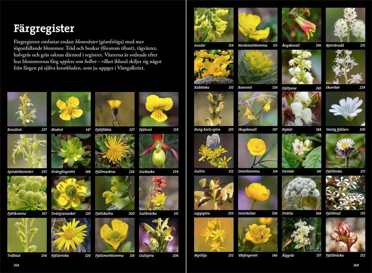 Oppslag fra Flora för fjällvandrare med plantebilder og artsbeskrivelser