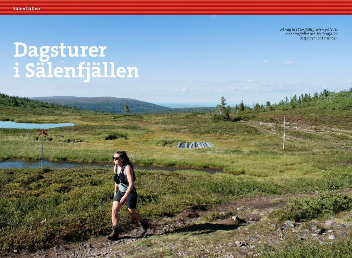 Detaljbilde fra Vandra i Sälen och Fulufjällets nationalpark