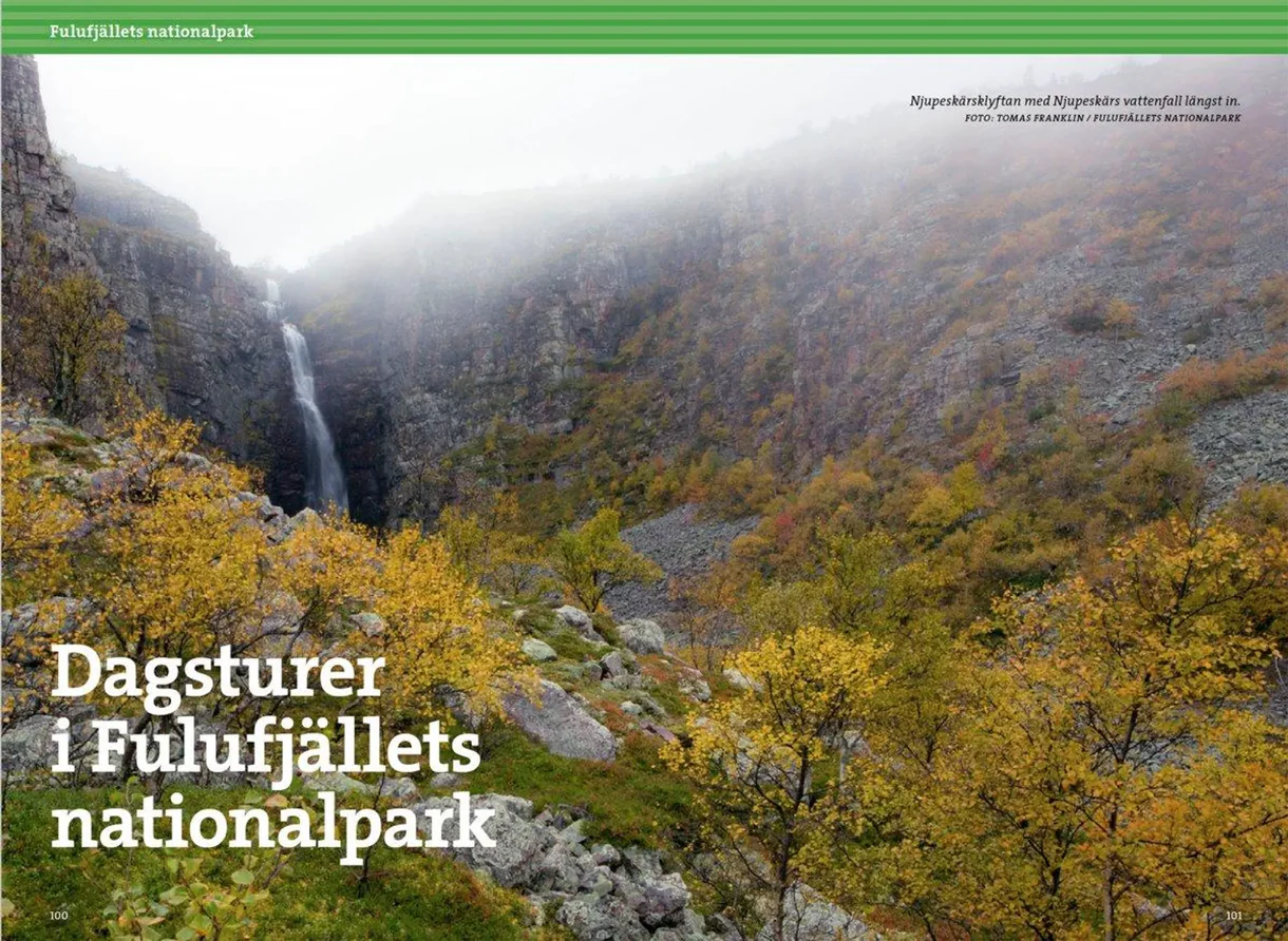 Detaljbilde fra Vandra i Sälen och Fulufjällets nationalpark