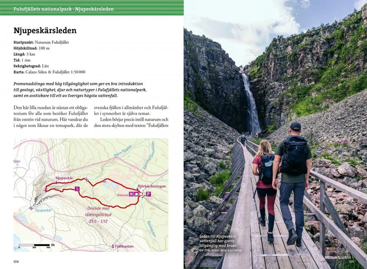 Detaljbilde fra Vandra i Sälen och Fulufjällets nationalpark