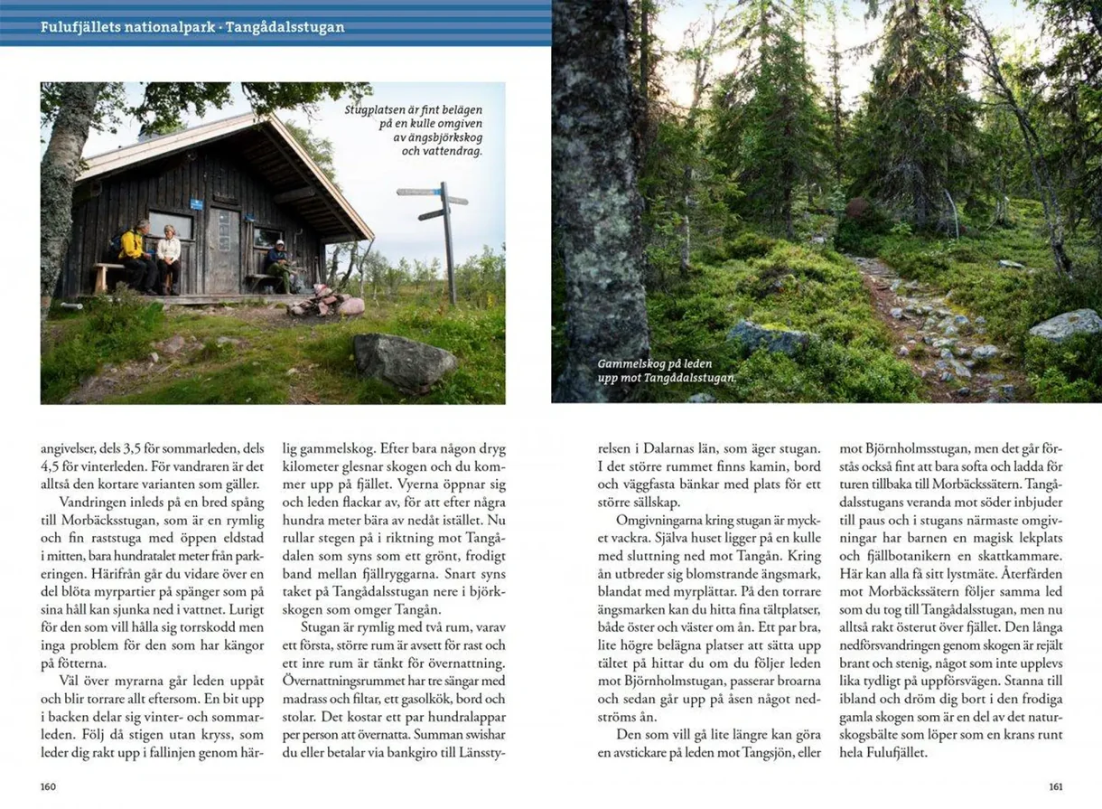 Detaljbilde fra Vandra i Sälen och Fulufjällets nationalpark
