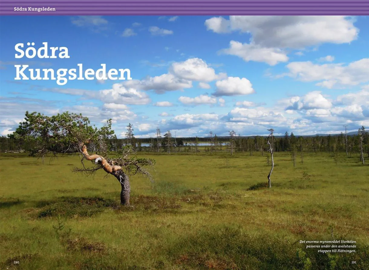 Detaljbilde fra Vandra i Sälen och Fulufjällets nationalpark