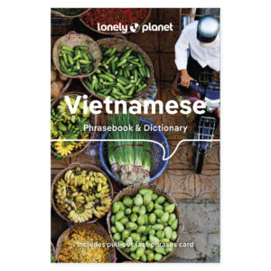 Lonely Planet Vietnamese Phrasebook & Dictionary – omslag