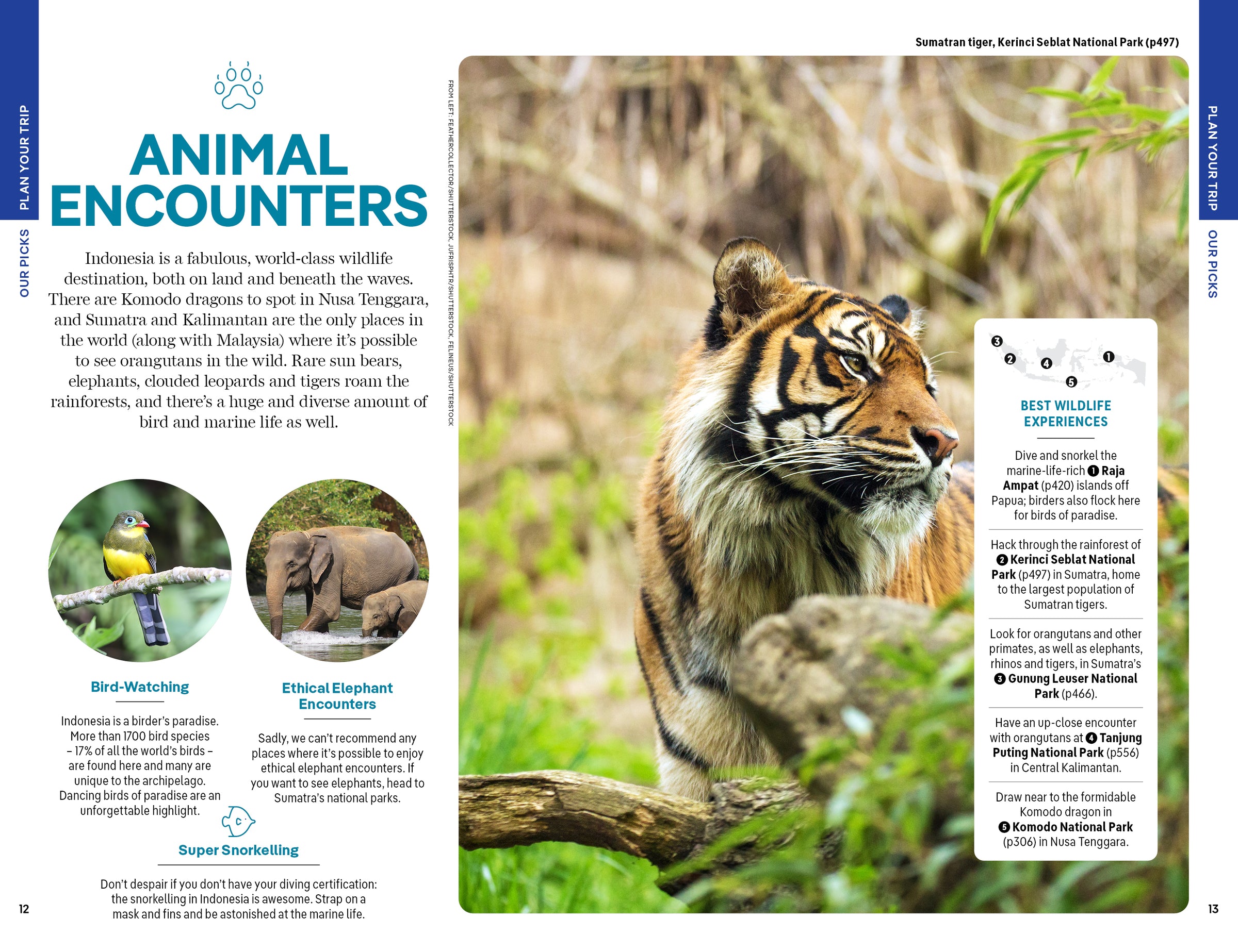 Indonesia – Lonely Planet (engelsk) – bla i boken