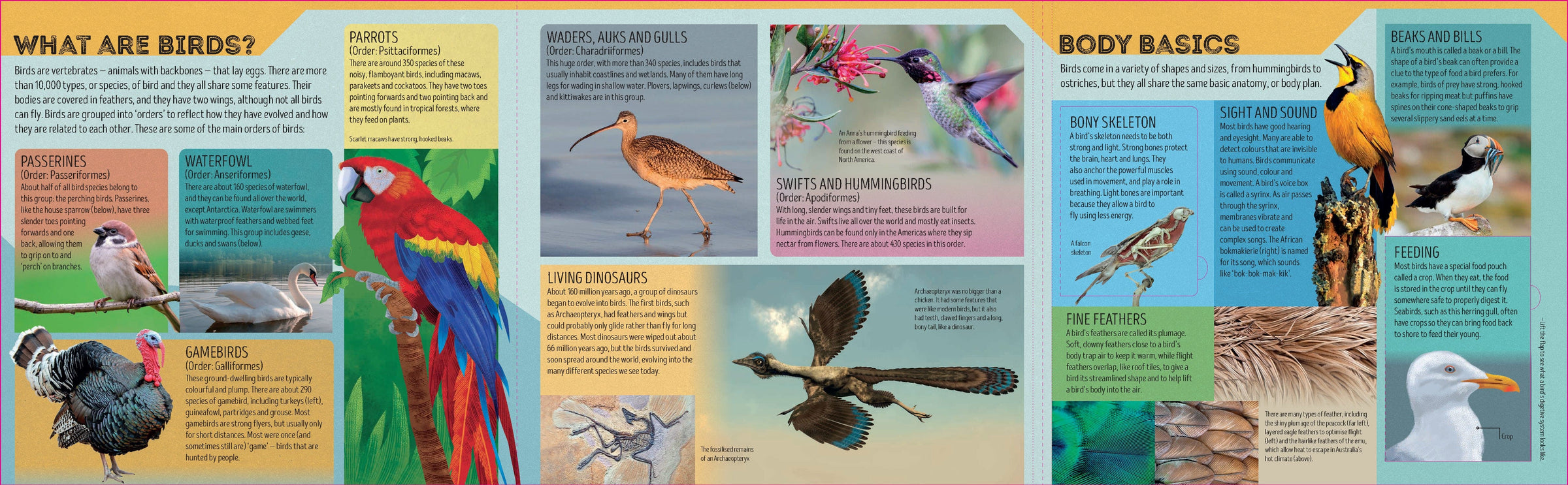 Bird Atlas – Lonely Planet Kids (engelsk) – bla i boken