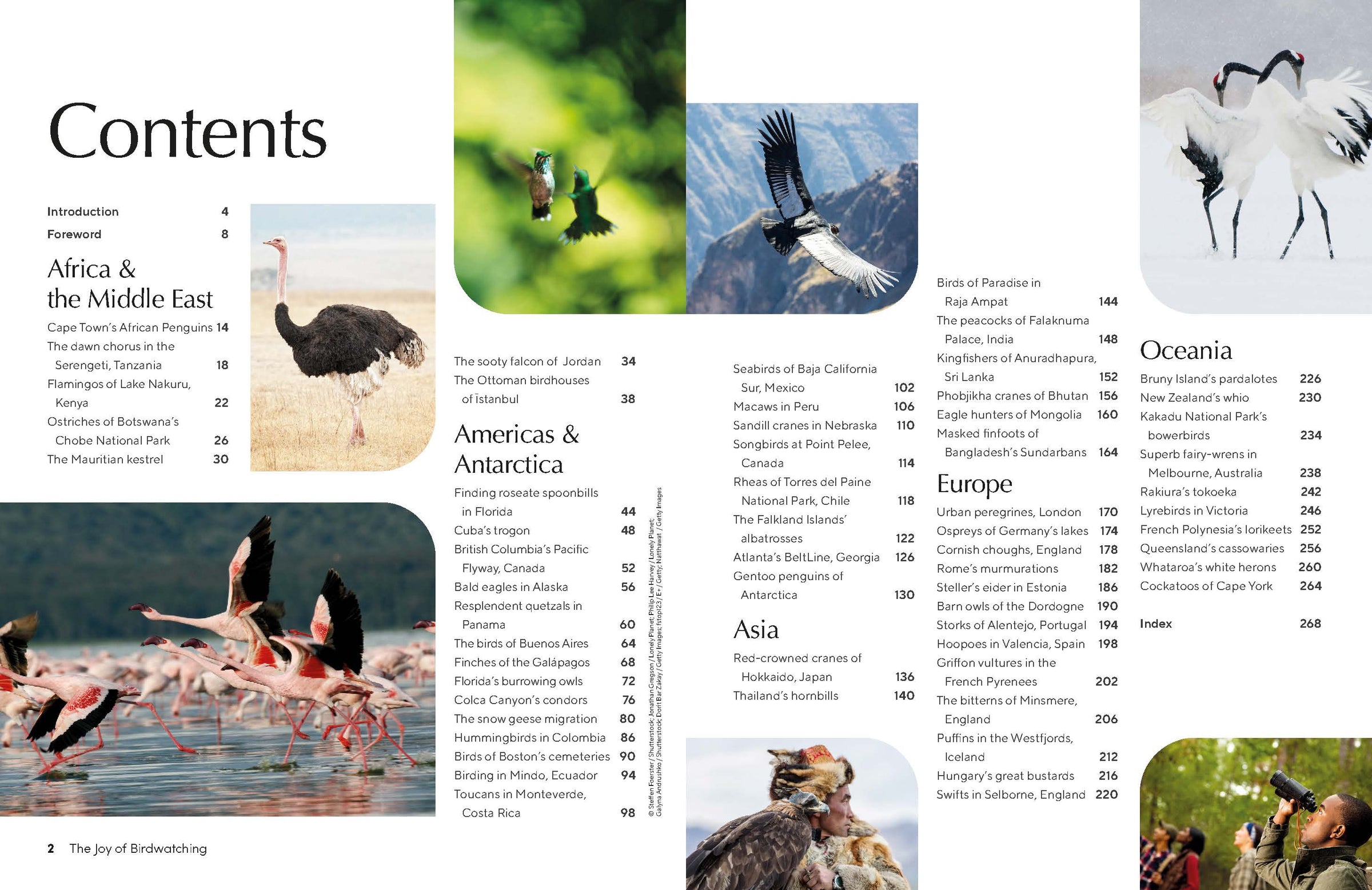 The Joy of Birdwatching – Lonely Planet (engelsk) – bla i boken
