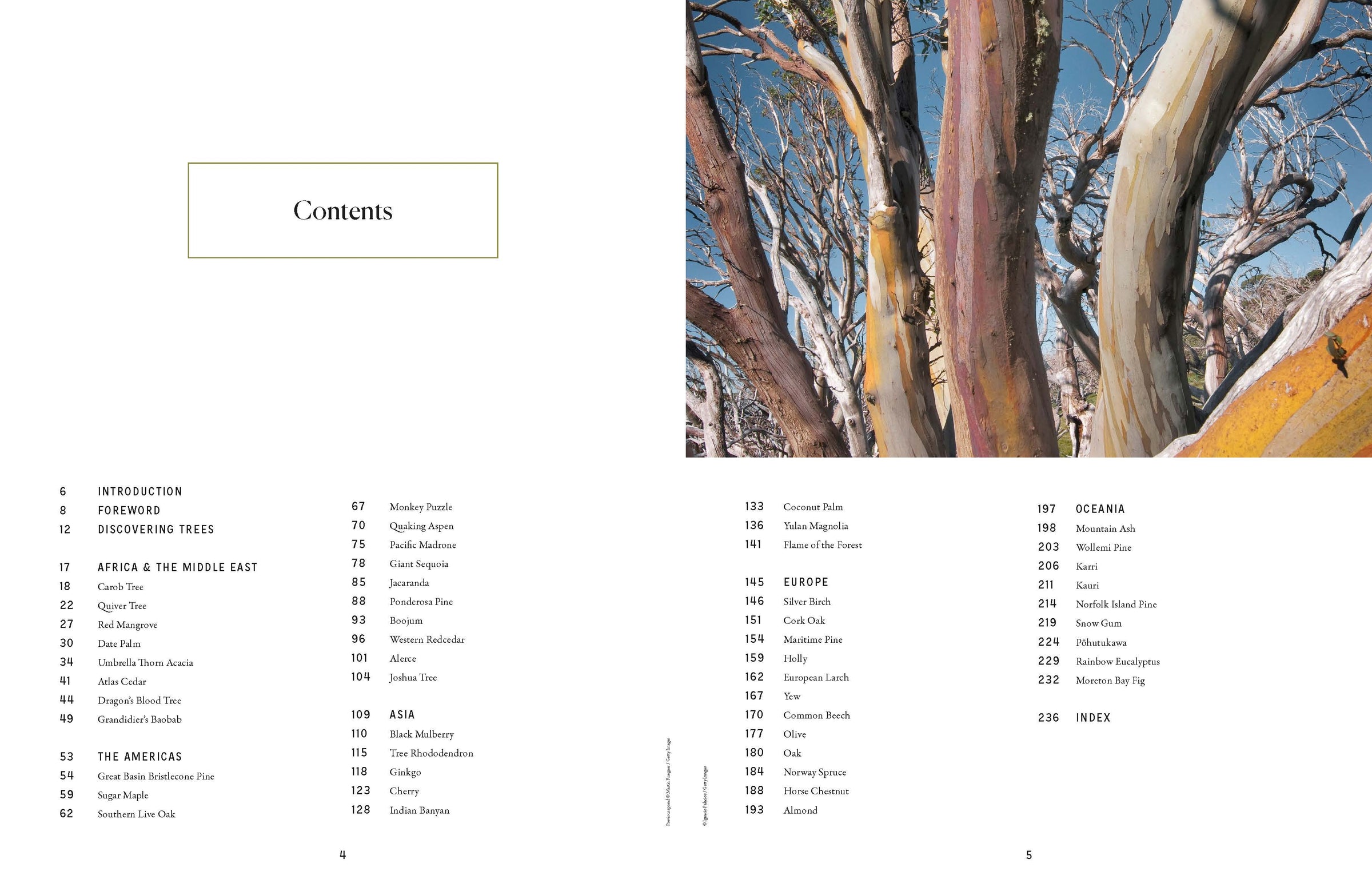 The Tree Atlas – Lonely Planet (engelsk) – bla i boken
