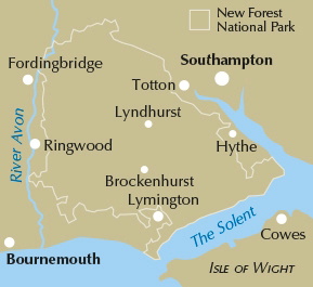 Walking in the New Forest – bla i boken